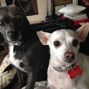 Meet your Posher, Sally